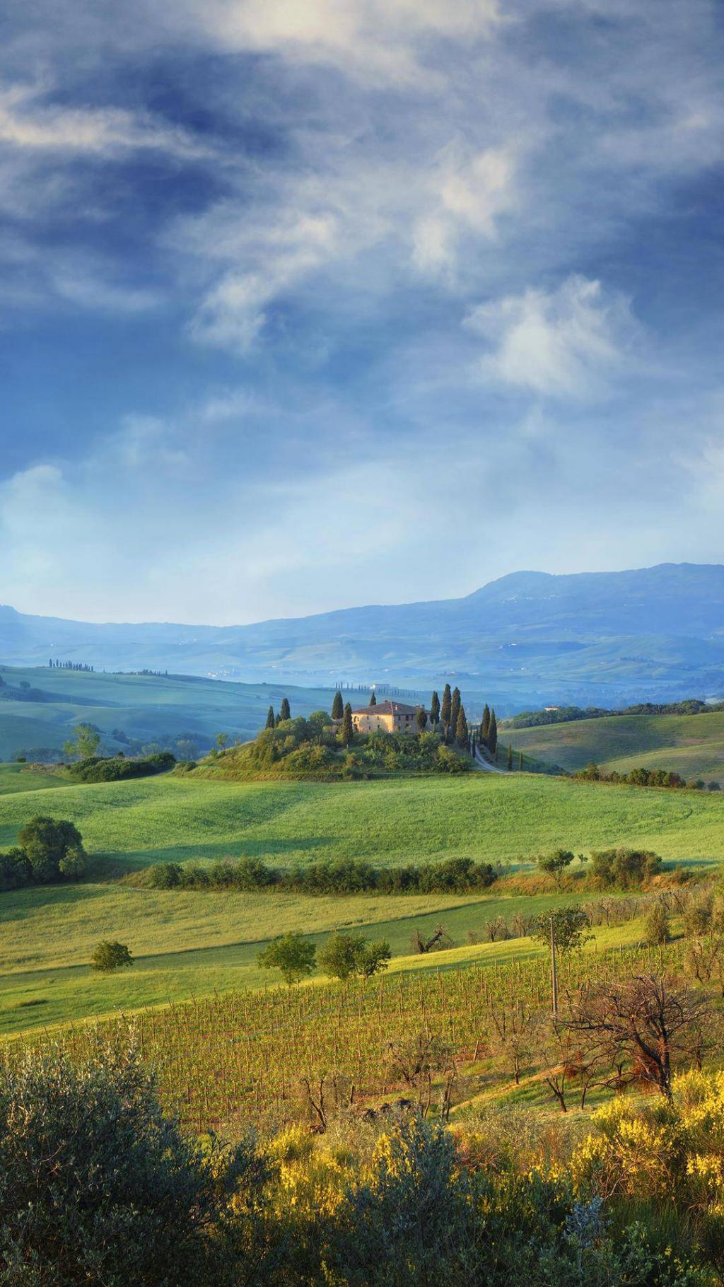 清新绿色护眼自然风景