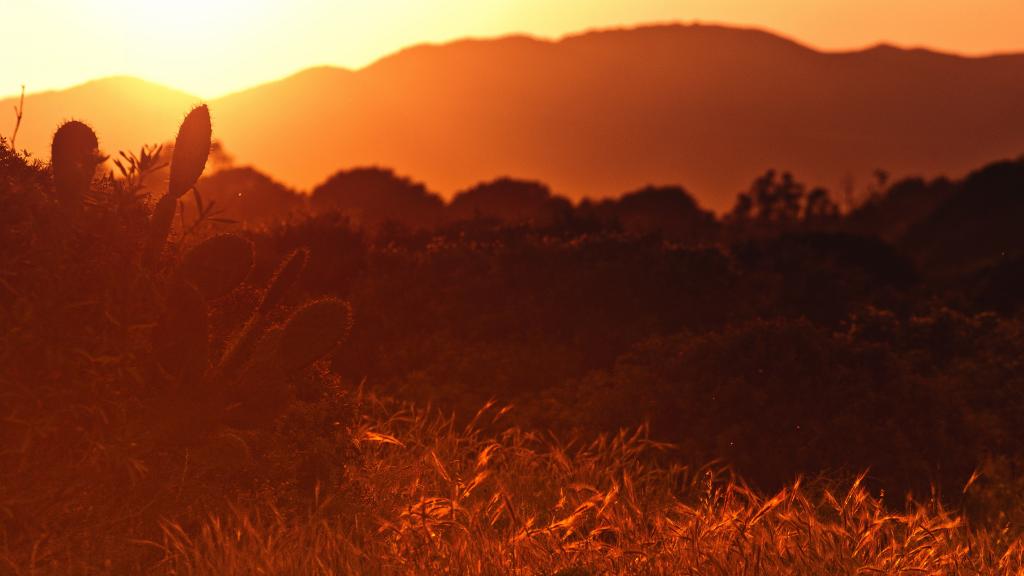 陪你看日出日落