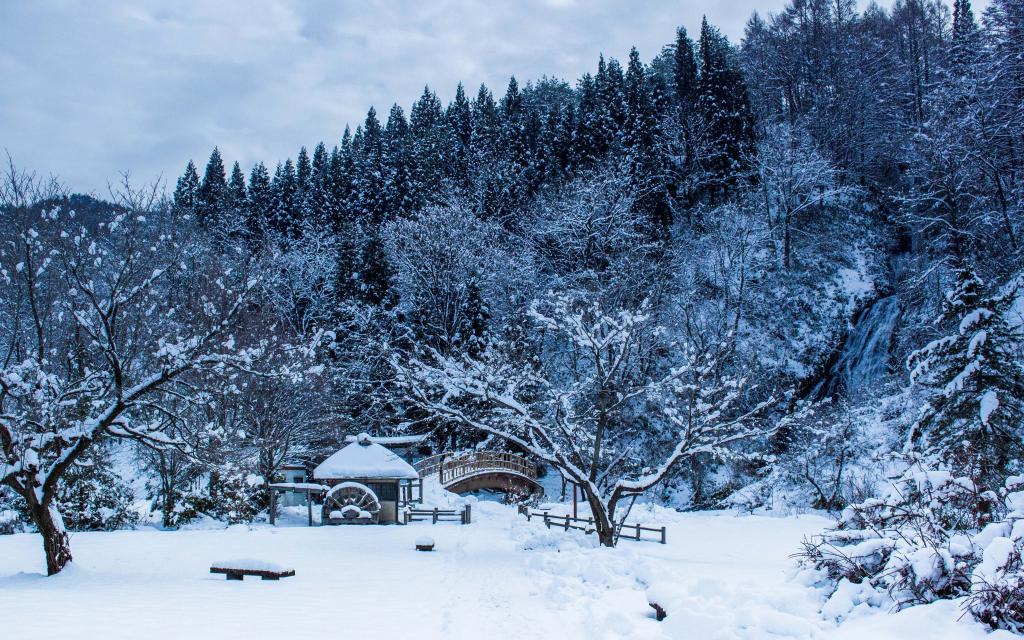 不能错过的日本雪景