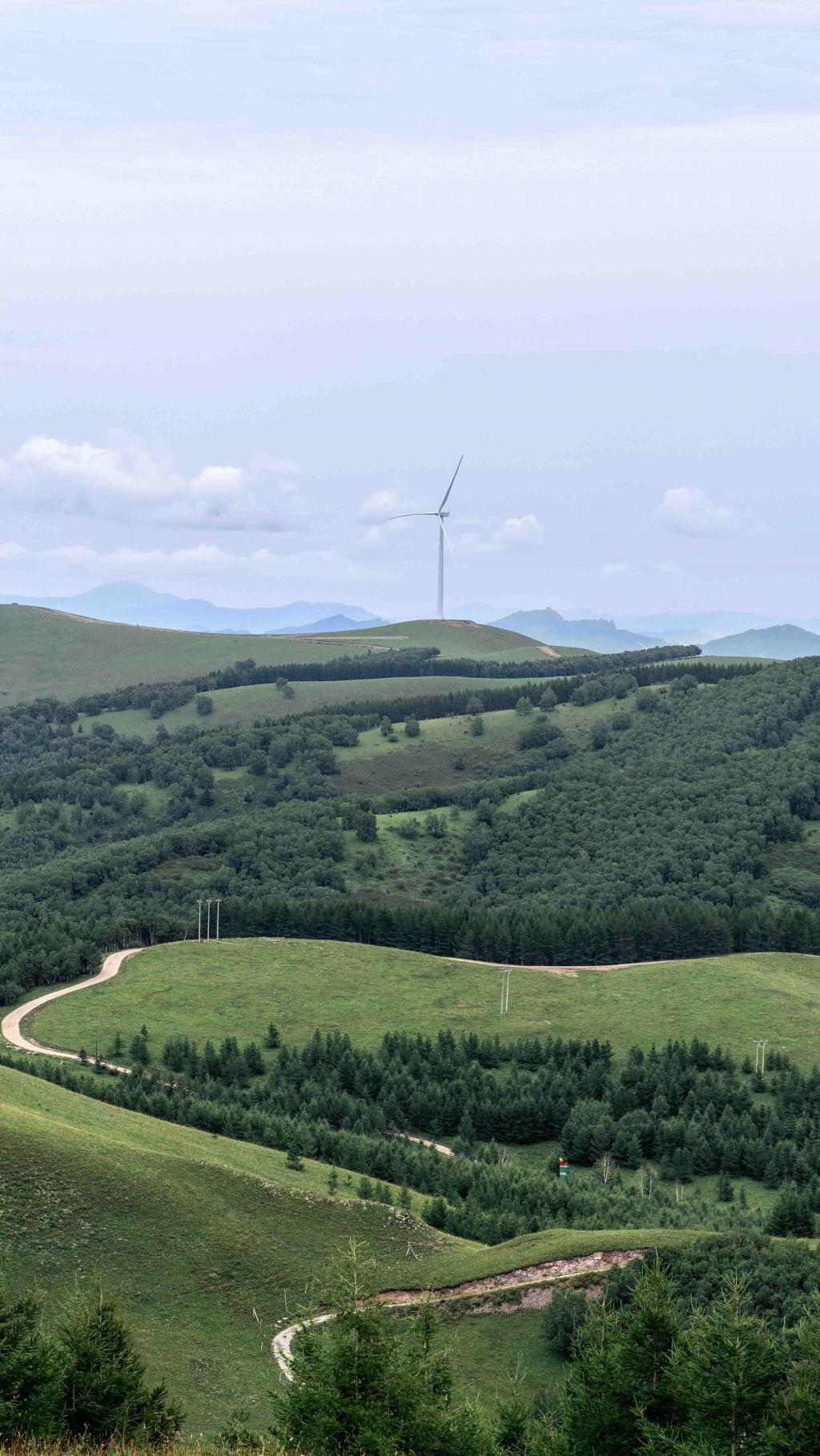 青海清新日系治愈自然风光
