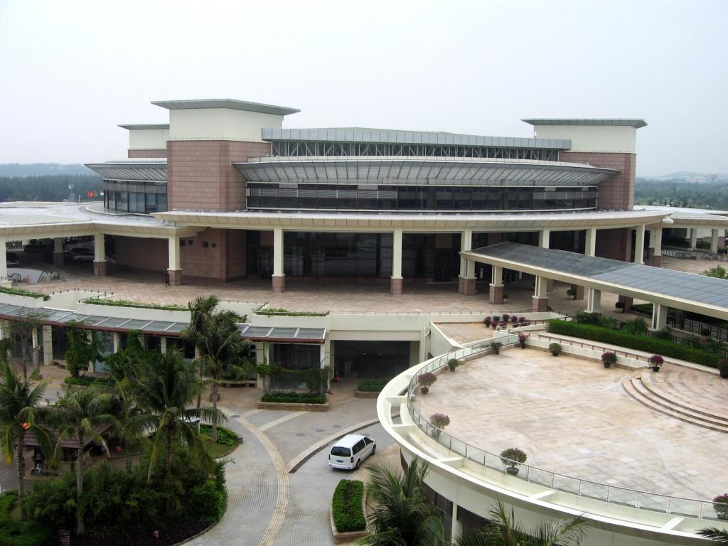 博鳌风光椰子树