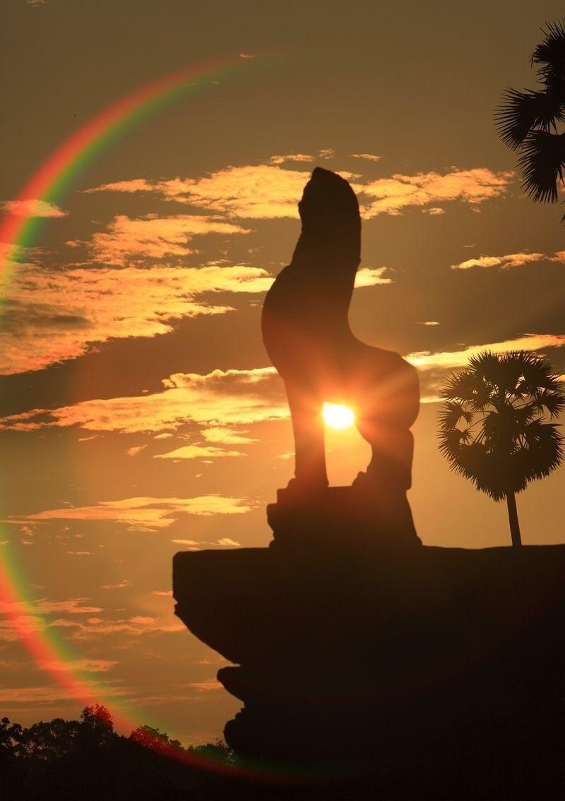 清晨的日出有多唯美