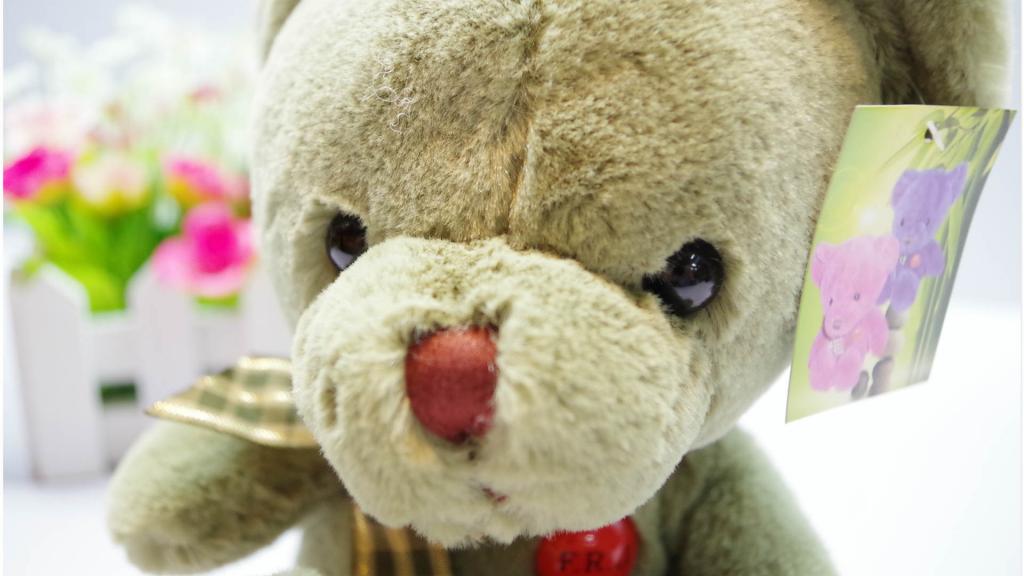 可爱的泰迪熊公仔