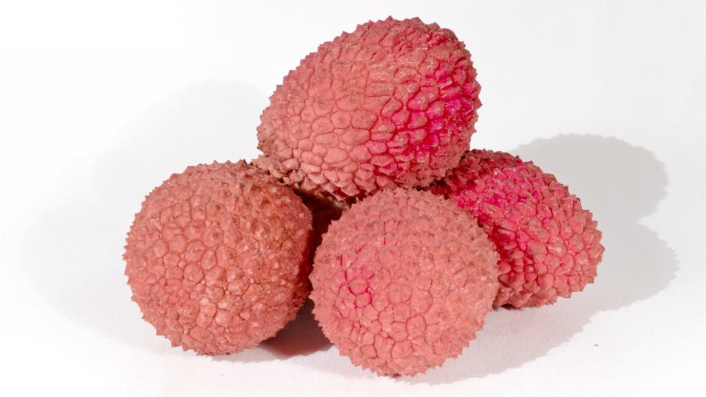 又到荔枝成熟时