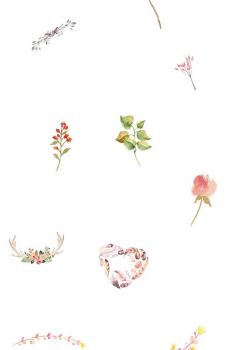 小清新日韩平铺图片-1