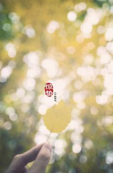 最美的惊蛰时节