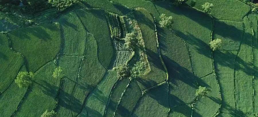 历史文化名城—黟县