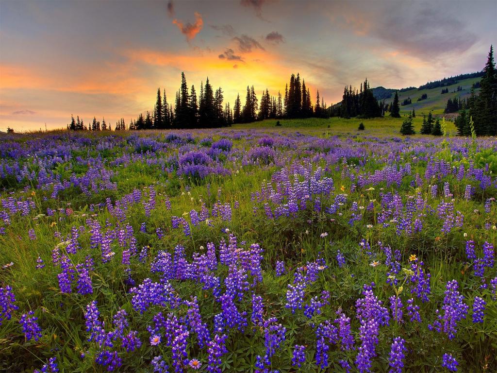 有些成了我们一生的风景