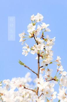 温柔的三月你好-3