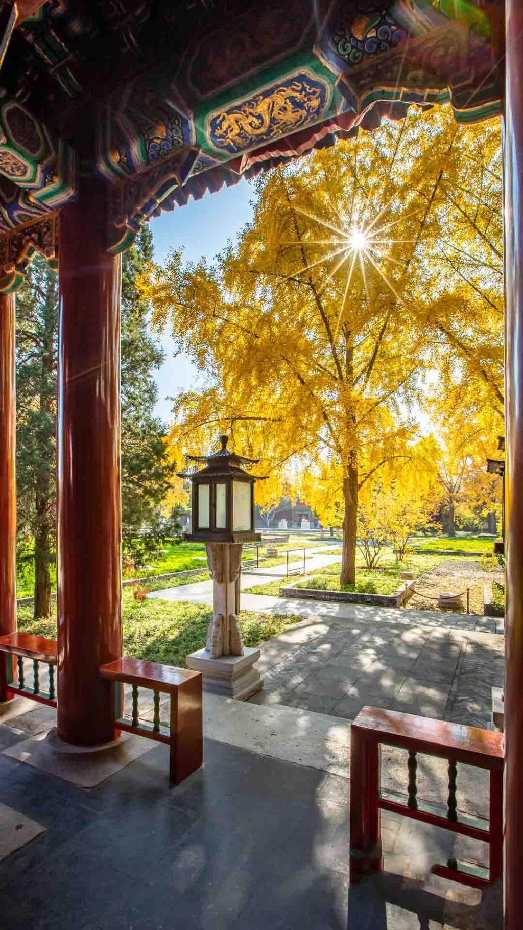 北京城唯美初秋自然风光