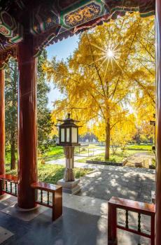 北京城唯美初秋自然风光-3