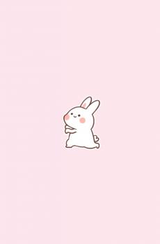 兔子可爱图片-4