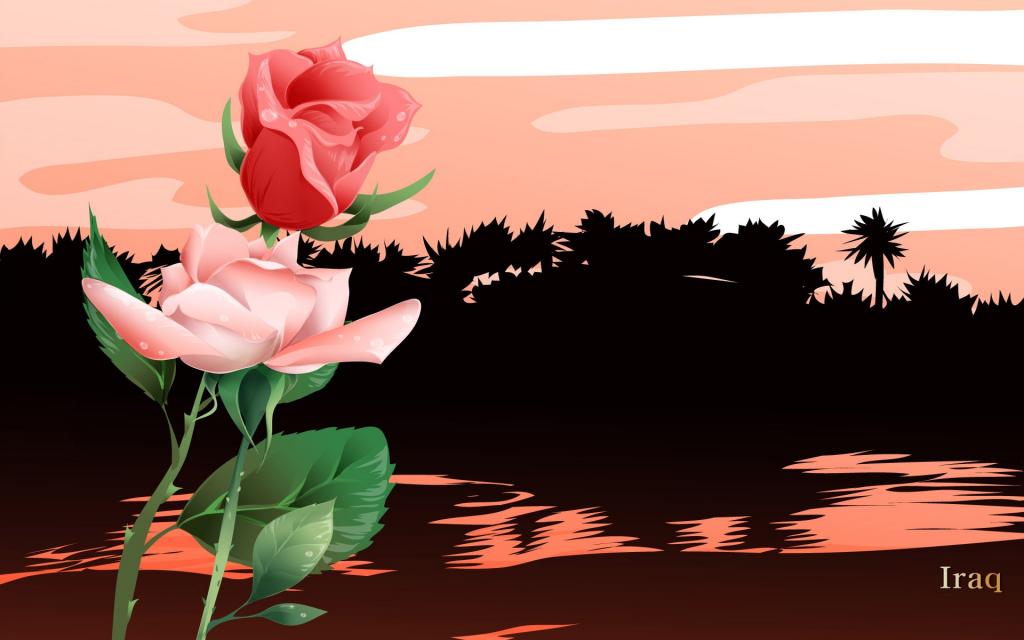 国家风光与鲜花