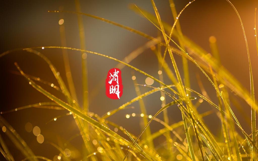 清明时节,细雨绵绵