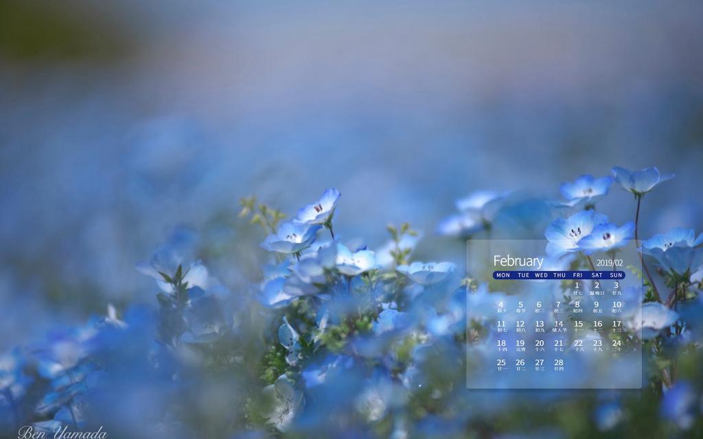 2019年2月小清新花朵唯美写真日历