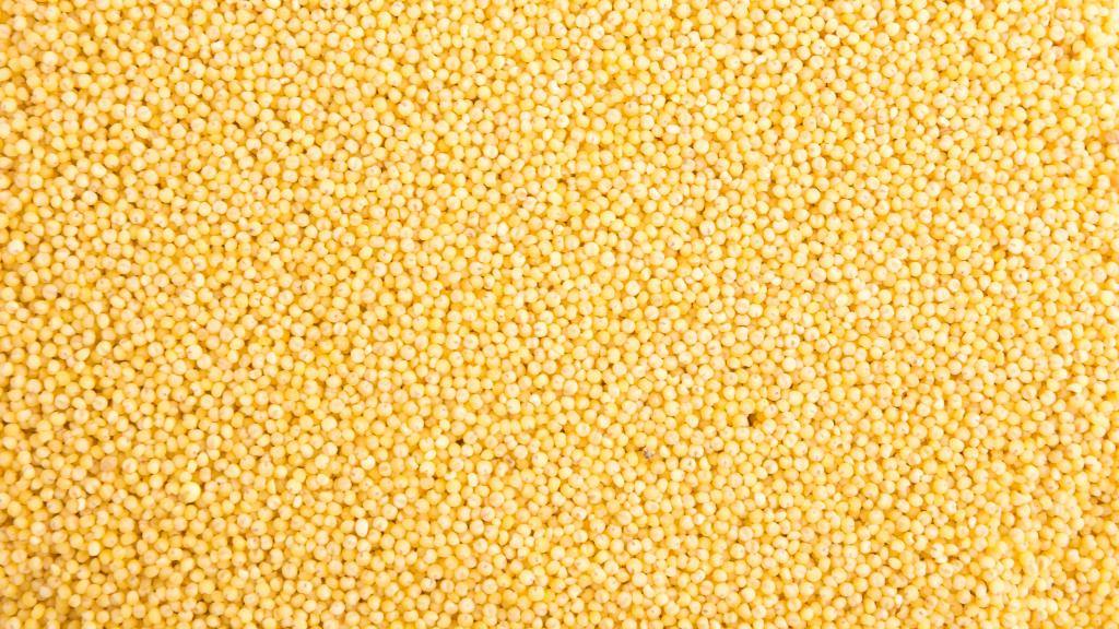 五谷杂粮粗粮小米