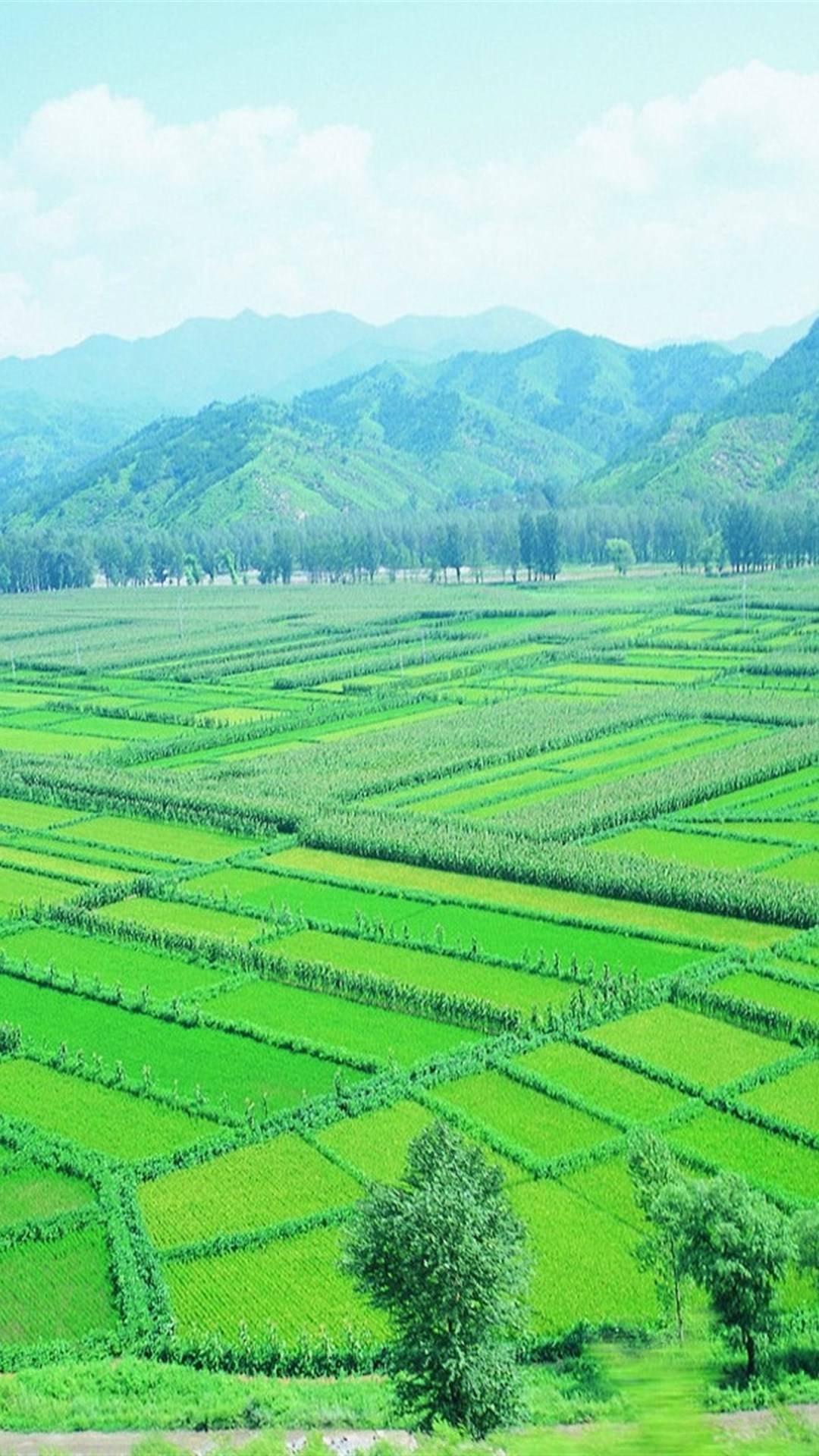 春天绿地草原风光
