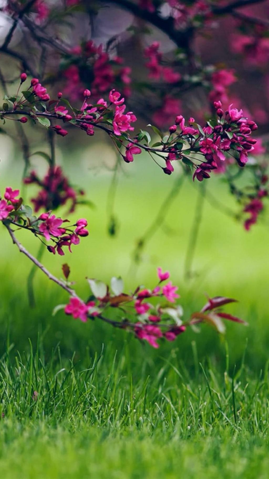 疏影横斜水清浅