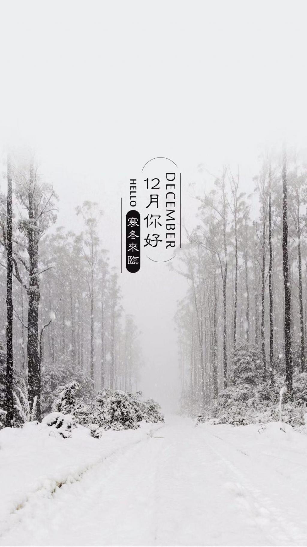 美好的十二月,你好