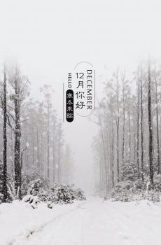 美好的十二月,你好-3