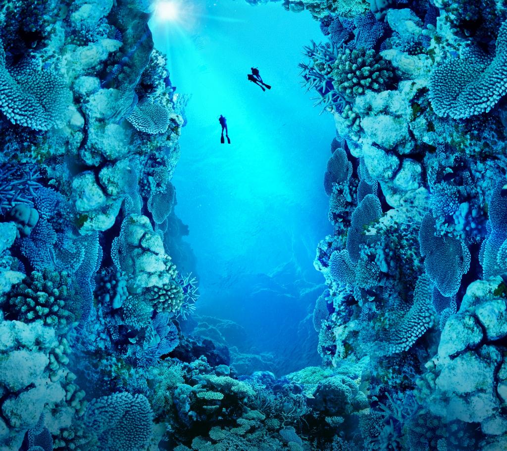 荣耀V20魅眼专属壁纸