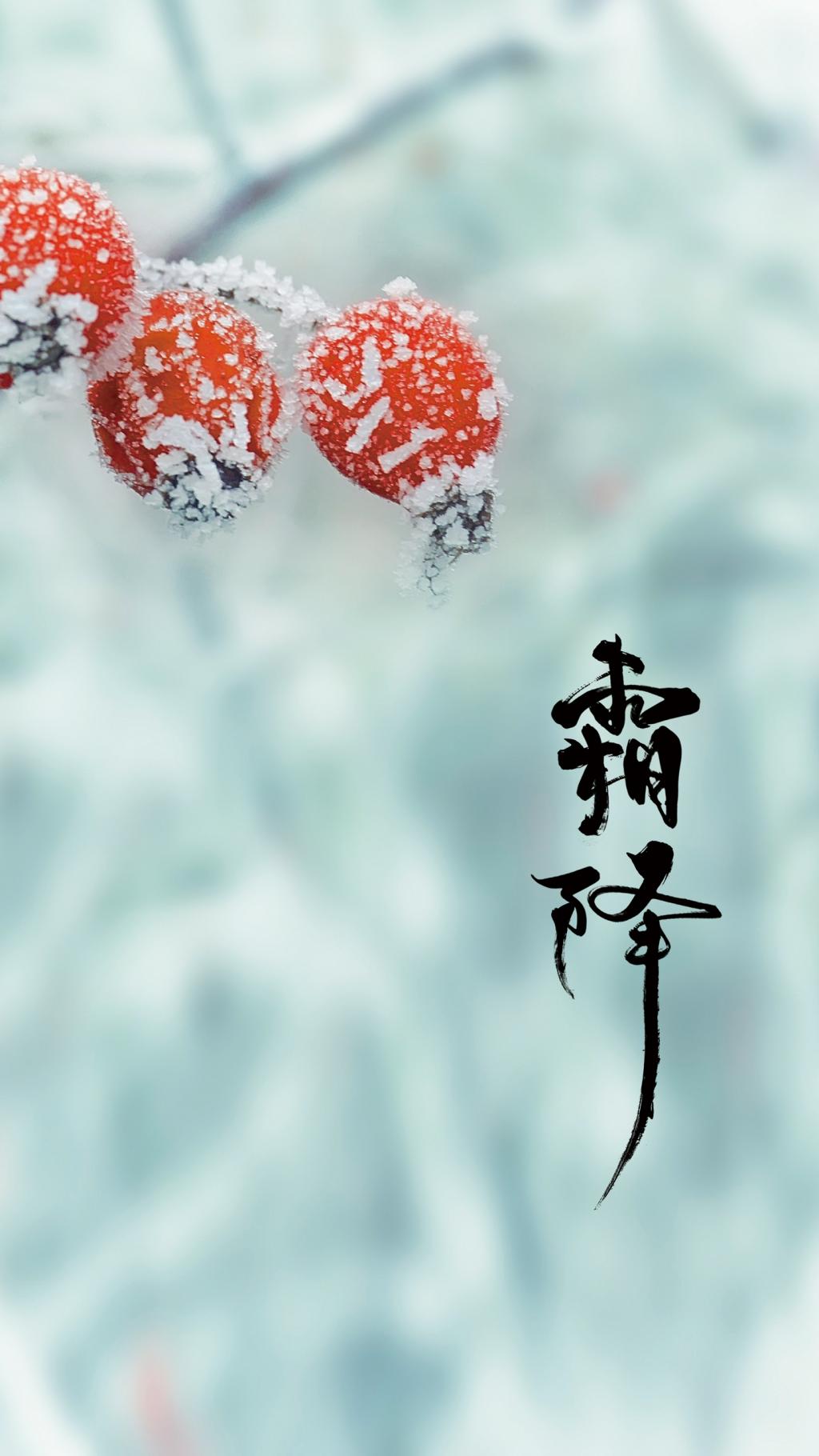 一年补透透,不如补霜降