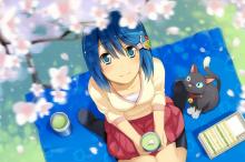 Windows萌娘窗边七美