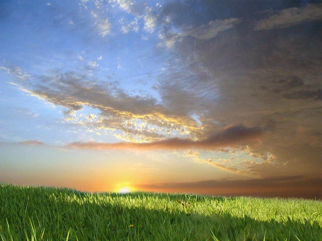 田园上空飘着红霞云朵