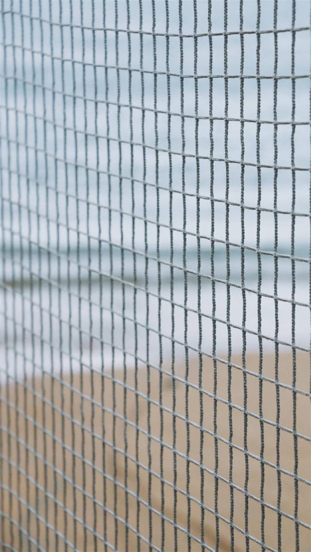 那年夏天宁静的海