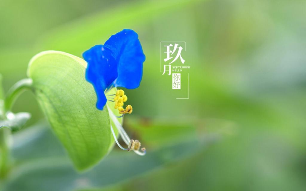 全新的9月你好带字文案