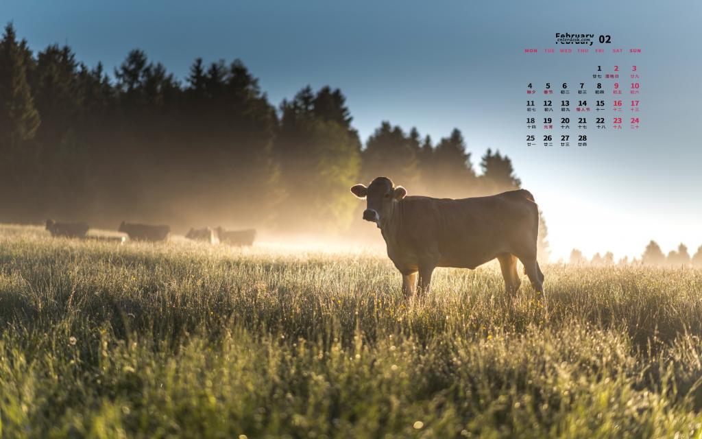 2019年2月黎明晨光唯美景色日历