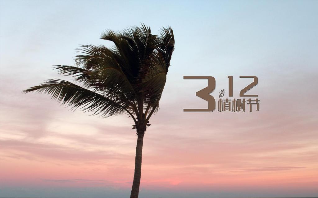 一年一度的植树节到来