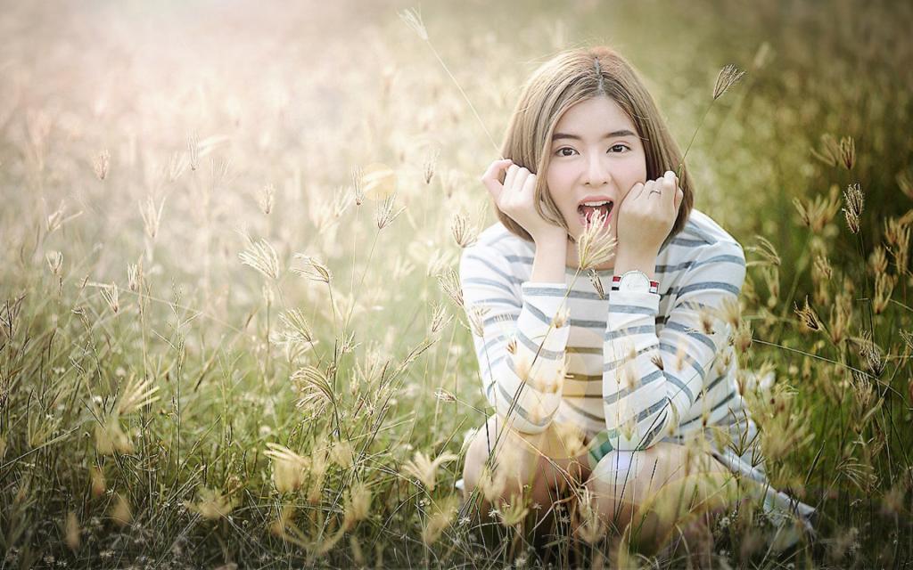 阳光正好微风不燥