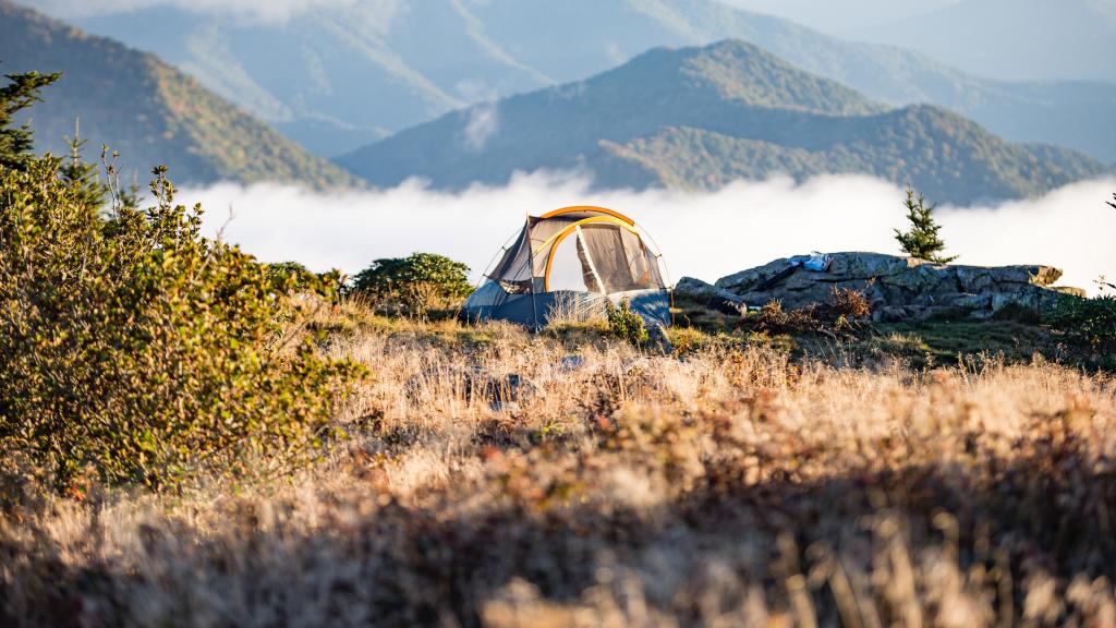 一次有趣的露营