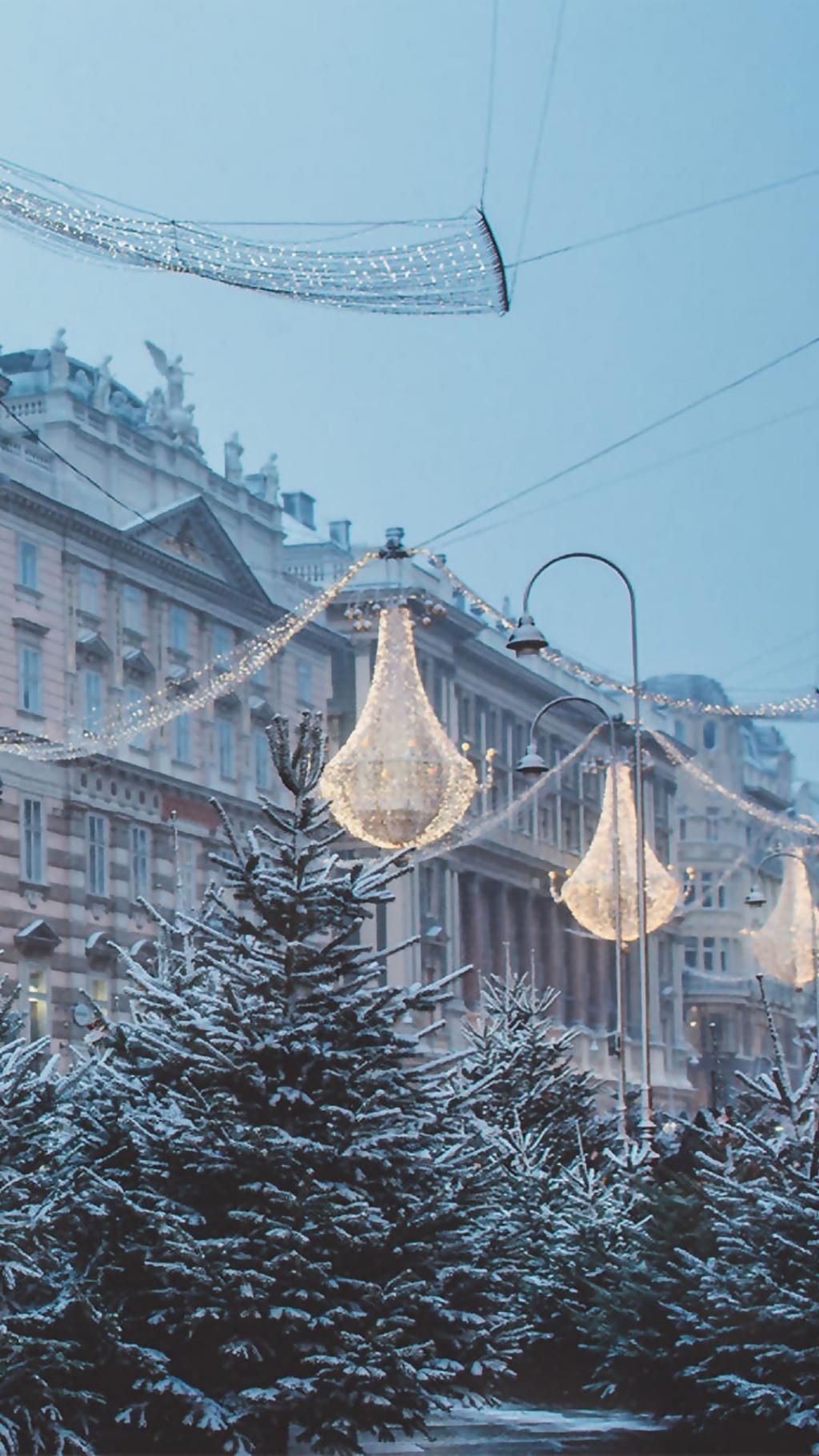 一朵懂我的雪花