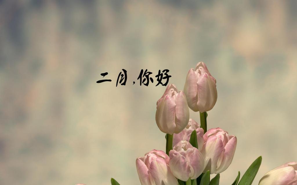 时光匆匆,二月再见