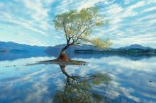 精美唯美自然风景