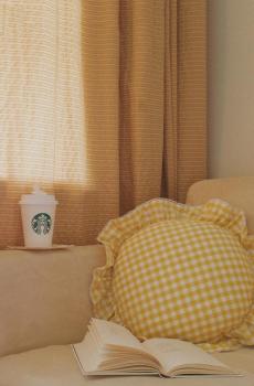 欧美流行ins风简约唯美静物摄影-3