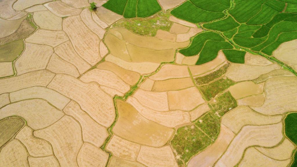 航拍田野清新护眼风景