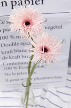 小清新扶郎花-1