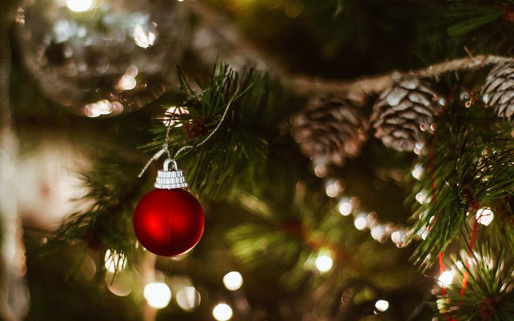 圣诞树创意静物写真