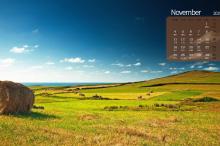 2019年11月田野风光日历