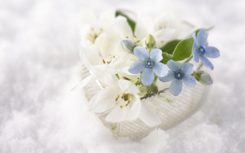 唯美的礼物装饰