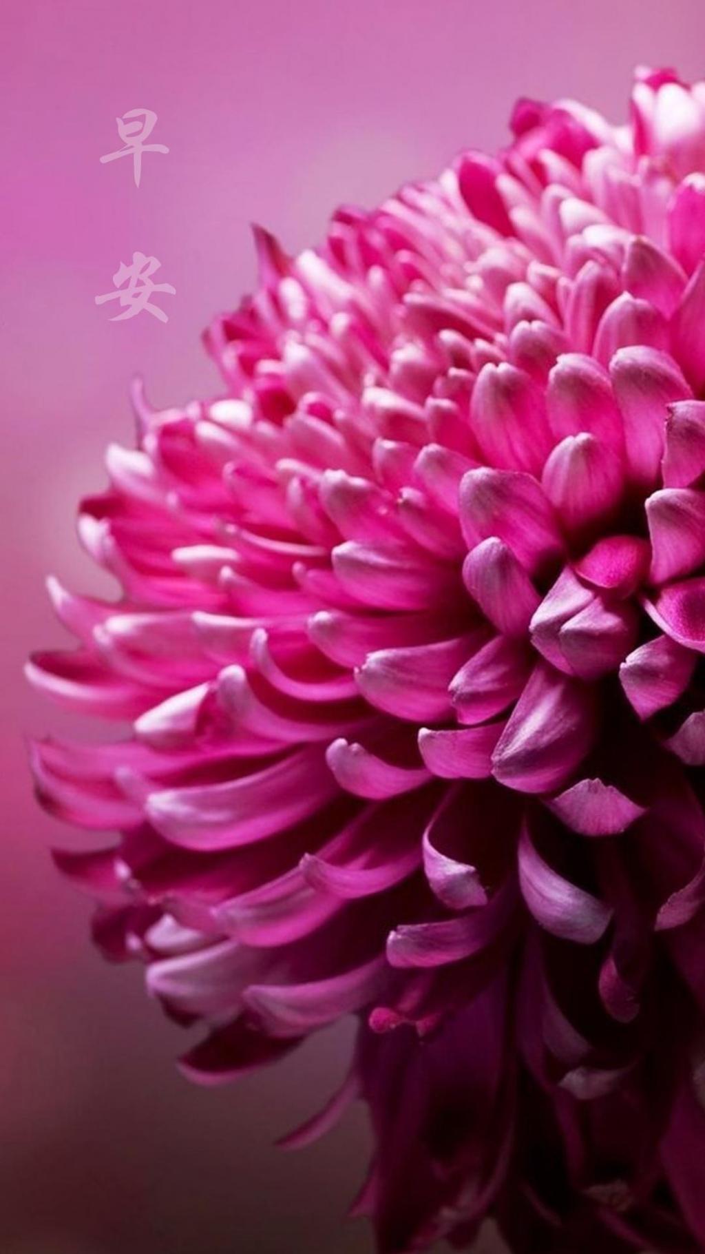 美好的世界早安