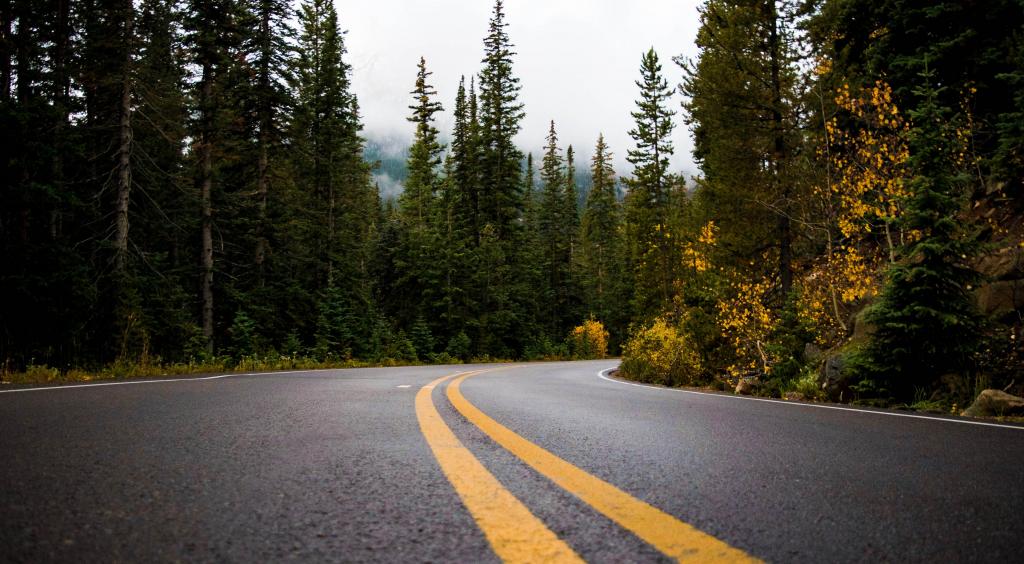 柏油公路：阳光大道