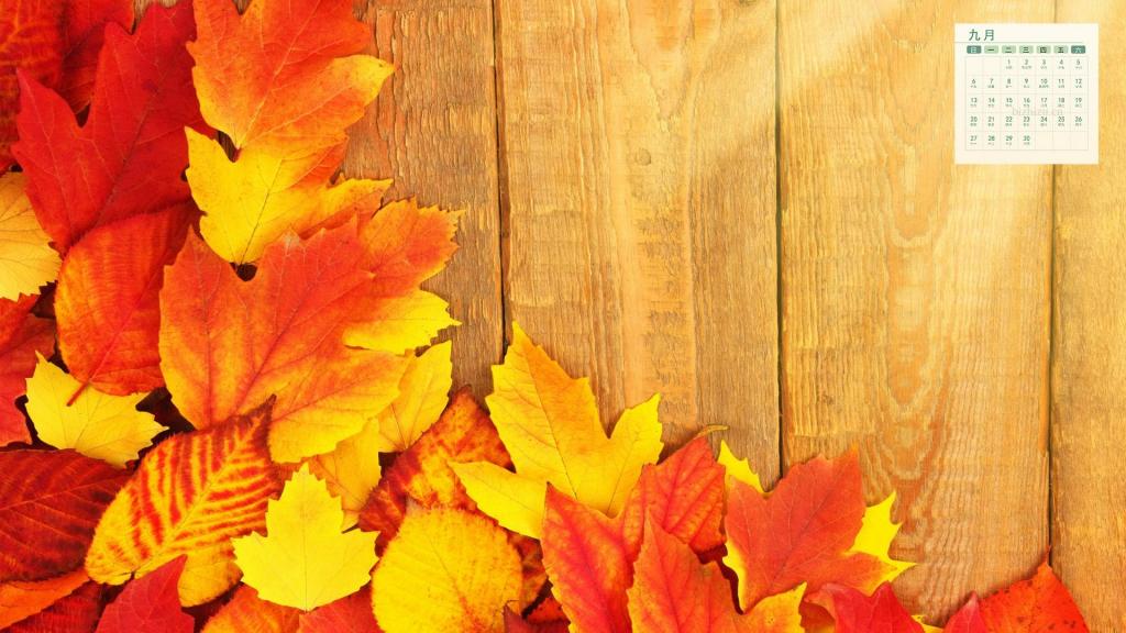 2019年9月秋天落叶美景日历