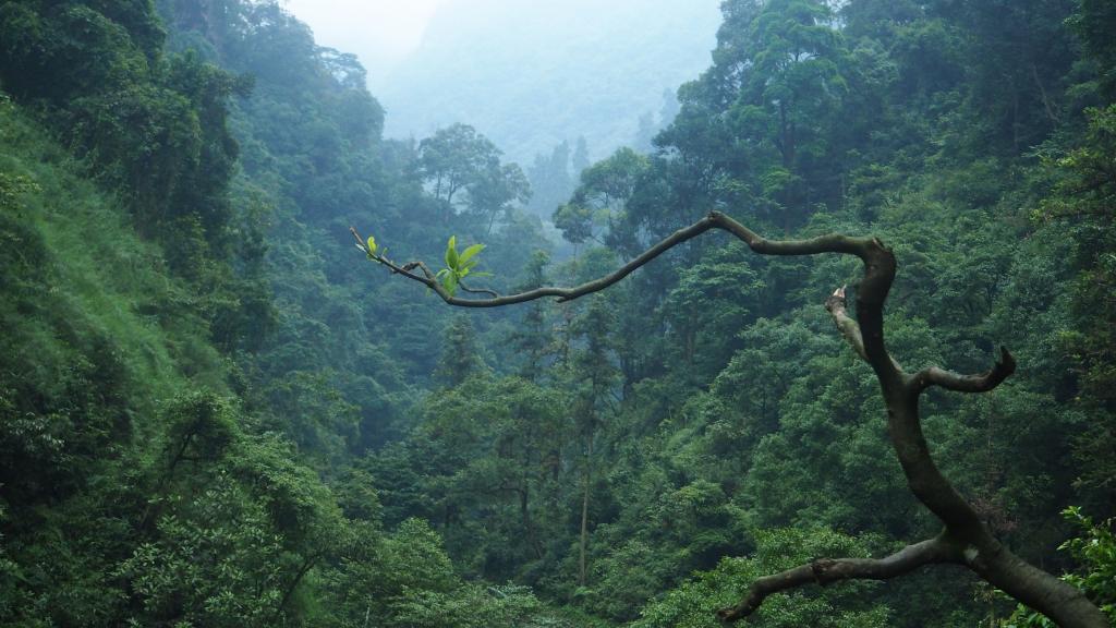 佛门圣地——峨眉山
