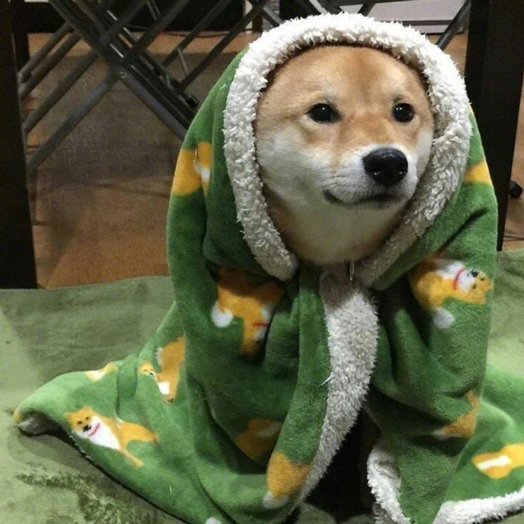 应该规定冬天禁止起床