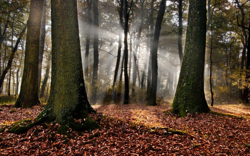 意大利自然唯美风景