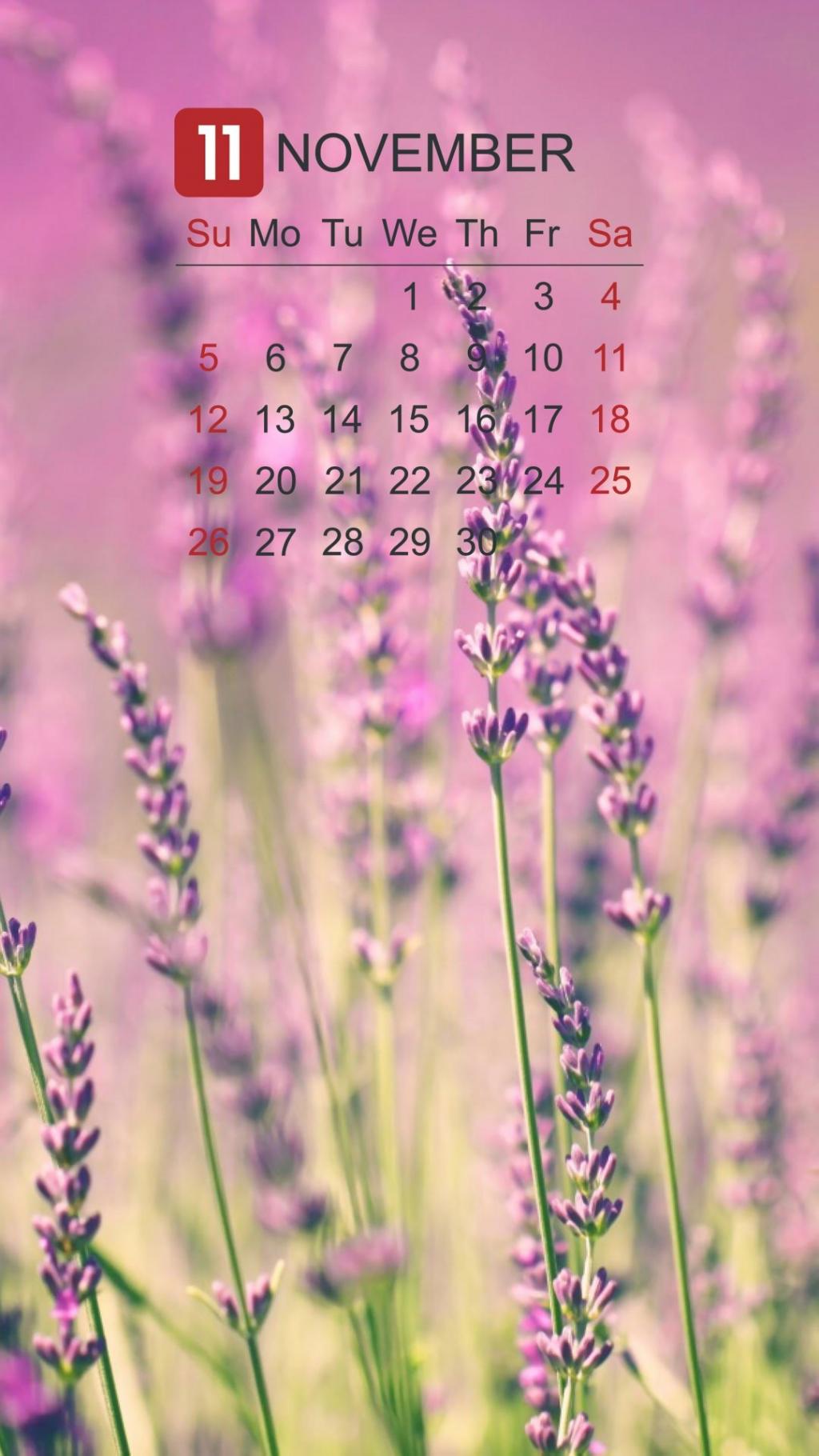 2017年11月唯美薰衣草日历